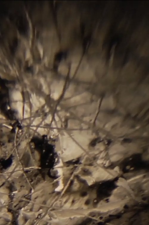 Ken Jacobs / Ghosts Of The Holy Ghost Spermic Brotherhood @ The Nervous Magic Lantern Festival